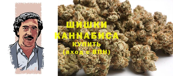 PSILOCYBIN Нефтекумск