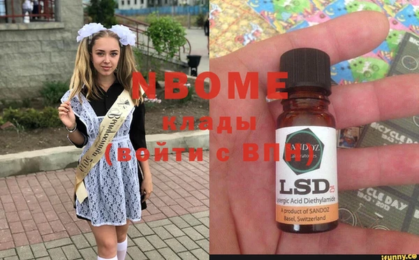 шишки Богородицк