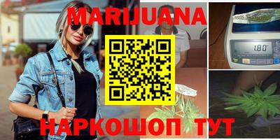 прущие грибы Гатчина
