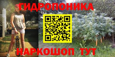 прущие грибы Гатчина