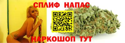 прущие грибы Гатчина