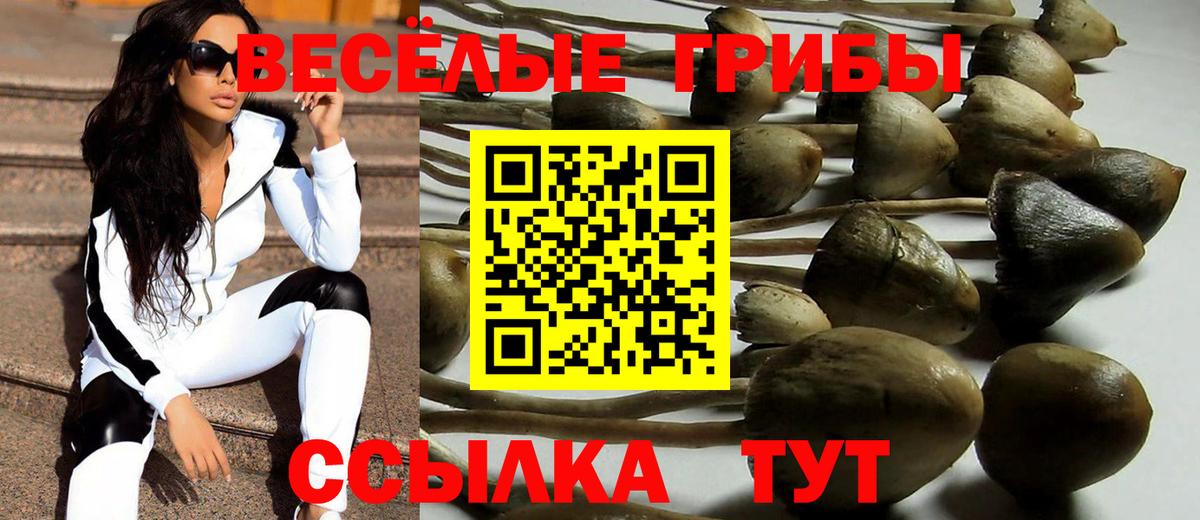 Шадринск  Псилоцибиновые грибы Psilocybe  Вход с VPN 