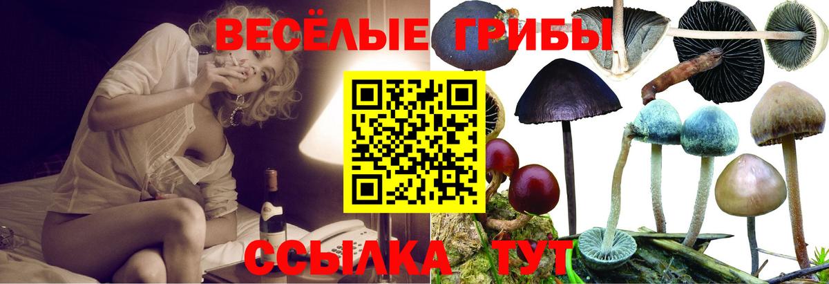 Псилоцибиновые грибы MAGIC MUSHROOMS  Псилоцибиновые грибы мицелий  Шадринск 